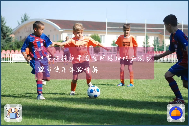 世界杯投注平台官网地址的安装步骤与使用体验详解