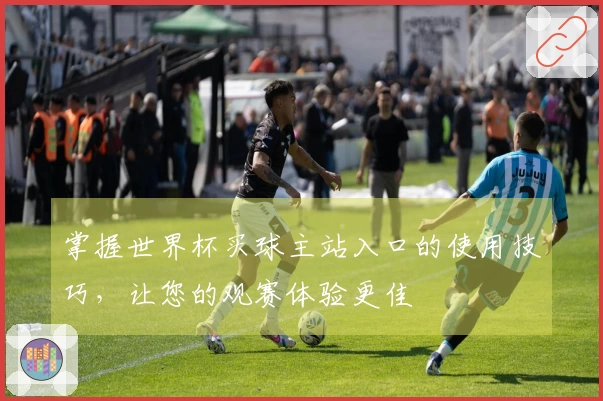 掌握世界杯买球主站入口的使用技巧,让您的观赛体验更佳