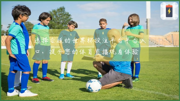 选择合适的世界杯投注平台平台入口,提升您的体育直播观看体验