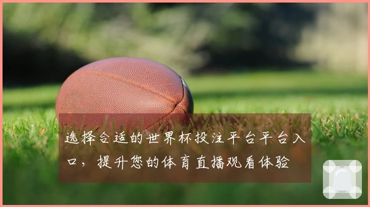 选择合适的世界杯投注平台平台入口，提升您的体育直播观看体验